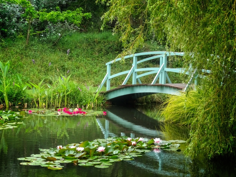 Bennetts Water Gardens